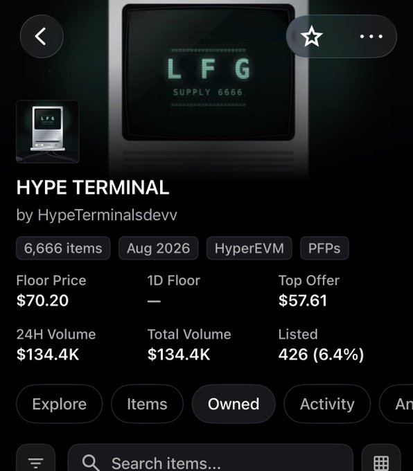 A screenshot of the "HYPE TERMINAL" NFT collection page by HypeTerminalsdevv shows a vintage monitor displaying "LFG SUPPLY 6666" alongside key stats including a floor price of $70.20, 24H volume of $134.4K, and 6,666 items on the HyperEVM blockchain. The image illustrates an NFT marketplace listing with metadata typical of digital collectibles trading.
