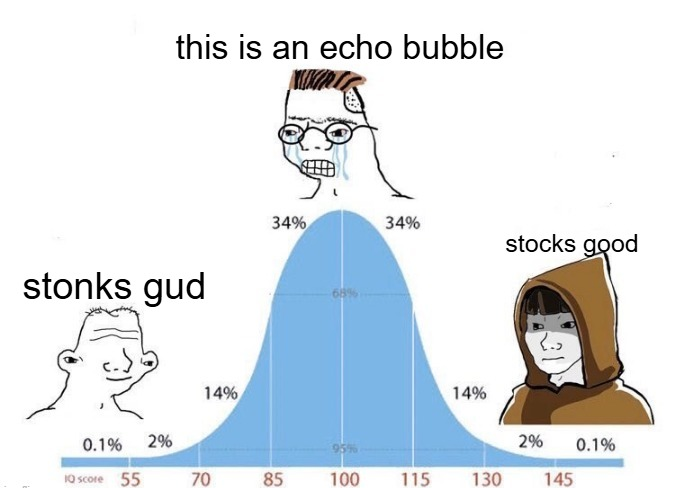 A meme using a bell curve graph to represent an 'echo bubble,' with the center labeled 'this is an echo bubble' (sobbing wojak), the left labeled 'stonks gud,' and the right labeled 'stocks good' (hooded figure).