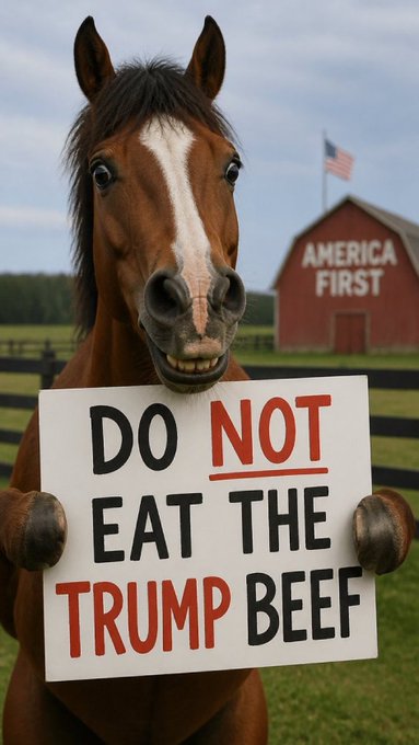 A brown horse holding a protest sign that reads 'DO NOT EAT THE TRUMP BEEF' in front of a red barn labeled 'AMERICA FIRST' with an American flag.