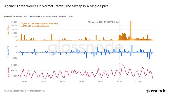 A Glassnode chart titled "Against Three Weeks Of Normal Traffic, The Sweep Is A Single Spike" displays three Bitcoin metrics—dormant coin revivals (119,335 BTC left dormancy over three days, with 11% to exchanges), net exchange balance changes, and new addresses—around the 01:31-01:56 UTC July 31st sweep, visually isolating the unusual transfer spike following the Coldcard hack from otherwise steady baseline activity.