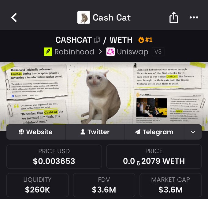 CoinGecko listing page for Cash Cat (CASHCAT/WETH) on Uniswap V3 via Robinhood, showing a price of $0.003653 USD, 0.0₅2079 WETH, $260K liquidity, $3.6M FDV, and $3.6M market cap.