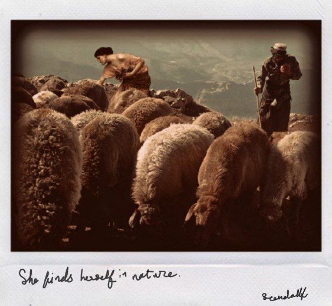 A Polaroid-style photograph credited to 'Scandalaf' showing a woman tending to a flock of sheep with a shepherd nearby, captioned 'She finds herself in nature.'