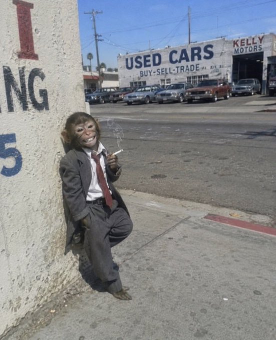 A suited monkey with a human-like face smokes a cigarette against a wall, while in the background a used car dealership sign reads "USED CARS BUY-SELL-TRADE" and "KELLY MOTORS" alongside several parked vehicles.

The image humorously illustrates the post's "calf market" reference—the literal calf (monkey in a business suit) embodies the author's playful market analogy, while the rundown used car lot backdrop reinforces the unglamorous, early-stage vibe of a market waiting for retail investors (the "last piece of the puzzle") to arrive and send prices soaring.