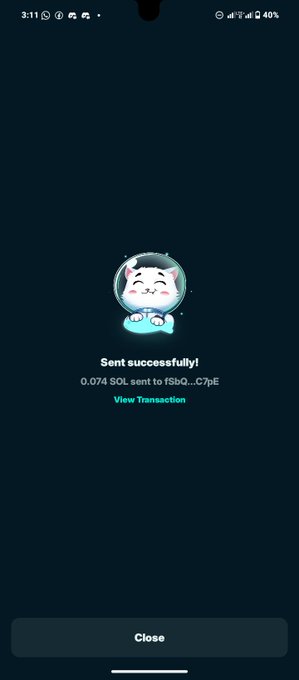 The image features a screen displaying an app with a cartoon cat logo in the top left corner, along with a caption reading "Successfully sent!". The app also includes information about how users can reward Top 3 Raiders for their efforts in building Feral City by sending them $15 worth of SOL.