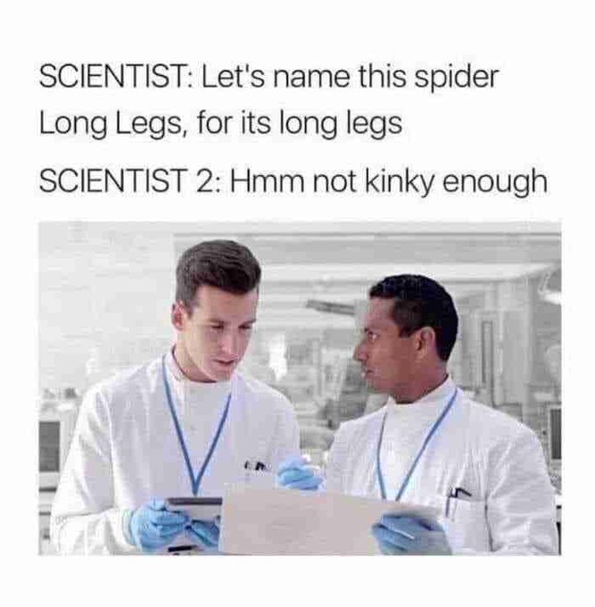 A meme showing two scientists in lab coats with text reading: 'SCIENTIST: Let's name this spider Long Legs, for its long legs / SCIENTIST 2: Hmm not kinky enough'.