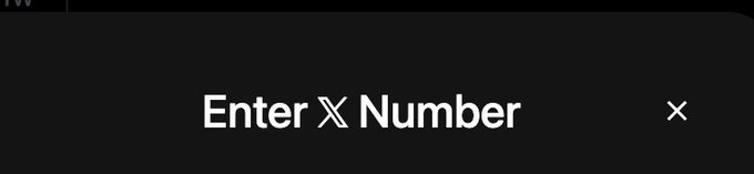 A dark dialog box displays the prompt "Enter X Number" with an "X" close button in the corner, likely a popup shown in response to the user's confusion about what their X (formerly Twitter) number is.