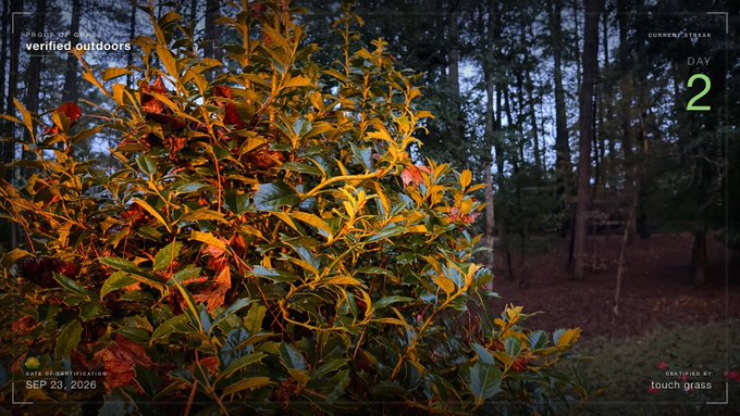A nature scene showing autumn-colored foliage on a bush in a forest, with text overlay reading 'verified outdoors', 'DAY 2', 'SEP 23, 2020', and 'touch grass'.