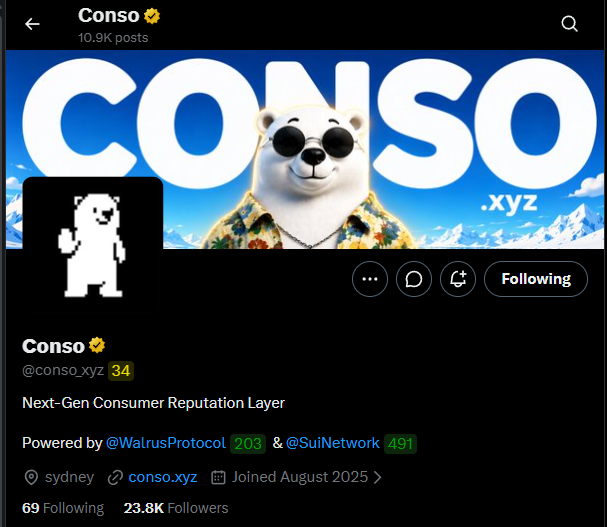The image shows the Twitter/X profile page for "Conso" (@conso.xyz), a verified account with 23.8K followers, displaying their banner featuring a panda in sunglasses with "CONSO.xyz" branding, and a pixel-art bear avatar. The accompanying post highlights Conso as a "Next-Gen Consumer Reputation Layer" on Walrus Protocol and Sui Network, with the author noting their ranking drop due to growing user participation, suggesting Conso is a reputation/leaderboard system where daily engagement matters.