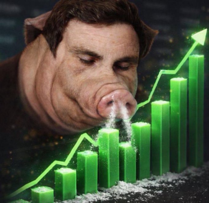 The image features a pig with a nose pointing up towards a chart that displays a bar graph or "bar graph". The pig has its face pressed against one of these bars, as if it's snorting out an answer from the data displayed. In this context, there is also a reference to another post that mentions "CTO $SOL - we need a banner, a new dev and a raid chat." It appears that the pig might be trying to communicate with the chart, possibly suggesting a connection between two topics or events in the discussion.