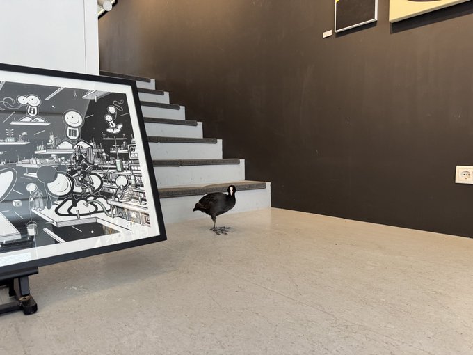 A black bird stands on a concrete floor next to a framed black-and-white artwork, with a staircase and dark wall in the background.