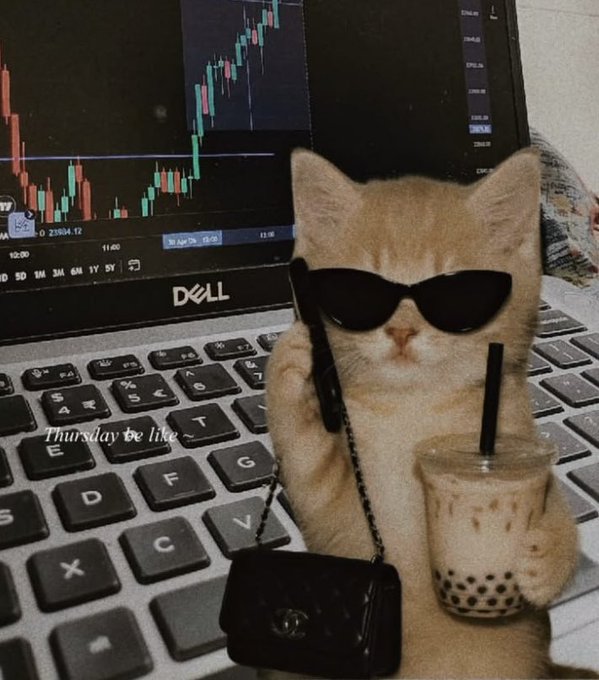 A digitally edited image features an orange kitten wearing sunglasses, holding a phone and a cup of bubble tea, sitting in front of a Dell laptop displaying a trading chart, with 'Thursday be like' written on the keyboard.