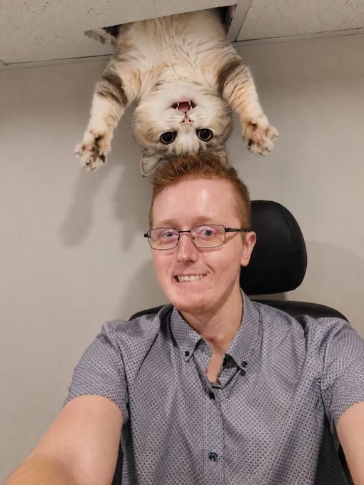 The image features a man wearing glasses, smiling for the camera while sitting at his desk with a cat hanging upside down from above him. The caption of the image includes information about Bitcoin and mentions that Helmer Hodl has written about the stablecoin supercycle.