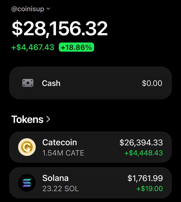 A crypto portfolio screenshot from @coinisup showing a total value of $28,156.32, with the gains highlighted by CATE, emphasizing the $26,394.33 Catecoin holding—a balance the poster brags about while running a giveaway for $8,000 split among 750 people who retweet, like, follow, and share their SOL wallet.