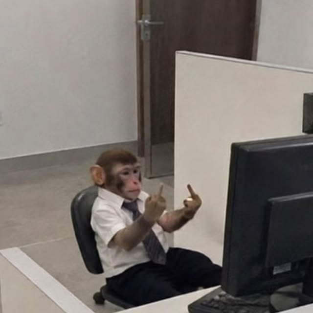A monkey wearing a white dress shirt and dark tie sits at an office desk in front of a computer monitor, gesturing with both middle fingers raised.