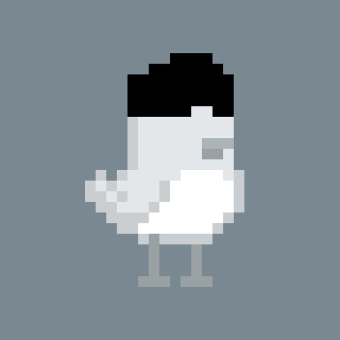 A pixel art illustration of a white bird with a black cap, likely a chicken or seagull, standing against a gray background.