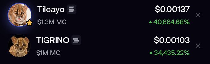 The image displays two cryptocurrency tokens—Tilcayo priced at $0.00137 with a $1.3M market cap and 40,664.68% gain, and TIGRINO priced at $0.000103 with a $1M market cap and 34,435.22% gain—both featuring cat images as their avatars. This visually supports the post's argument by showcasing tokens with strong performance, meme appeal (cat themes), and impressive percentage gains, contrasting them against "cope vamp" tokens lacking the same fundamentals like holder rewards and market consolidation.