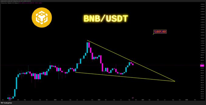 A TradingView 2W candlestick chart of BNB/USDT shows a symmetrical triangle/wedge formation converging near $723, with a current price of $1,601.40, illustrating the post's analysis of a potential downside test toward the $530 lower wedge line or an upside breakout to $1,601.
