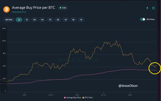 A Whale-Alert.io chart shows BTC's average buy price (pink line) trending downward to $52,256 while the BTC price (yellow line) hovers around $60K, with the convergence point circled on the right side. The visualization illustrates the post's claim that the average buy price continues declining, suggesting a potential buying opportunity as the gap between these metrics narrows.