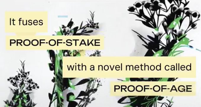 An artistic graphic with black and white floral illustrations overlaid with text on yellow highlighted strips reading 'It fuses PROOF-OF-STAKE with a novel method called PROOF-OF-AGE'.