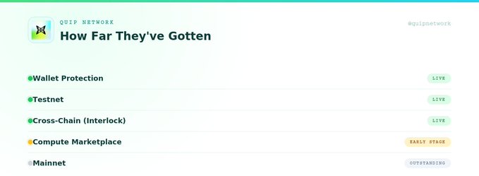 A QUBIC Network status page titled 'How Far They've Gotten' showing Wallet Protection, Testnet, and Cross-Chain (Interlock) as LIVE, while Compute Marketplace is in Early Stage and Mainnet is Outstanding.