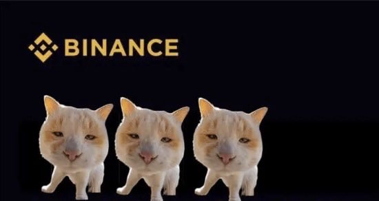Three smug-looking orange and white cats stand in a row beneath the Binance logo, humorously completing the meme's joke that the Binance listing would be "BANANACAT" (a pun on the platform's ticker) — though the missing word is left as a punchline in the post.