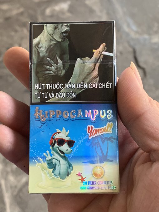 A hand holds a cigarette pack featuring a smoking creature on the warning label and a cartoon seahorse mascot with the text 'Hippocampus Yomo!! 70 FILTER CIGARETTES'.