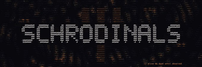 ASCII art spelling "ANARCHO CAPITAL" with the caption ")) alive dead until observed" in the bottom right corner.