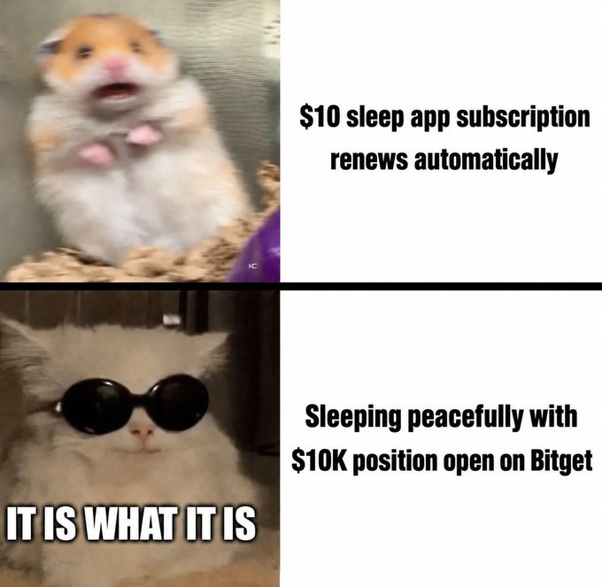 A two-panel meme using hamster/cat images: the top shows a startled hamster with '$10 sleep app subscription renews automatically', and the bottom shows a cool cat with sunglasses captioned 'IT IS WHAT IT IS' alongside 'Sleeping peacefully with $10K position open on Bitget'.