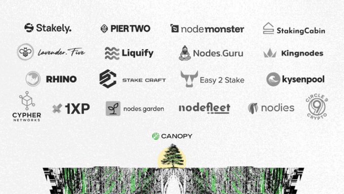 The image showcases a collection of partner and validator logos including Stakely, PIER TWO, nodemonster, StakingCabin, Lavender.Five, Liquity, Nodes.Guru, Kingnodes, RHINO, STAKE CRAFT, Easy 2 Stake, kysenpool, Cypher Networks, 1XP, nodes garden, nodefleet, nodies, and Circle 9 Crypto, all positioned above the CANOPY logo and tree emblem. This visual ties into the post about @CNPYNetwork's cross-pollinated incentive mechanism, which directly rewards validators like those shown to strengthen apps and build the Canopy ecosystem.