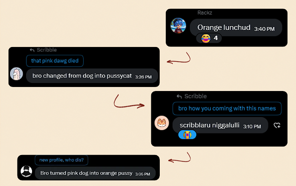 Screenshots of Instagram messages showing friends joking about the user's name changes, with comments like "that pink dawg died," "bro changed from dog into pussycat," "Orange lunchud," and "Bro turned pink dog into orange pussy," illustrating how rebranding the bear avatar led to even more nicknames.