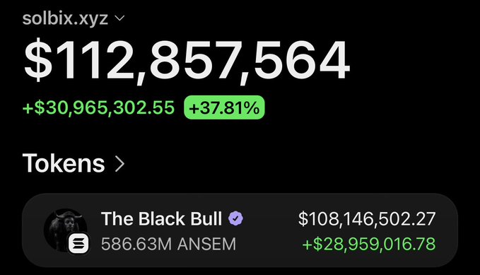 The image shows a screenshot from solbix.xyz displaying a wallet valued at $112,857,564 with a +37.81% gain, highlighting "The Black Bull" holding 586.63M $ANSEM tokens worth $108,146,502.27. This relates to the post about Ansem's wallet reaching nine figures, showcasing the specific $108M $ANSEM token holding that contributed to this milestone.