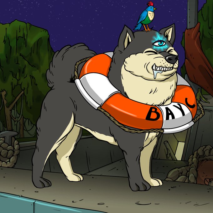 An illustration depicts a smiling husky-like dog wearing an orange and white life preserver reading "BAYC," with a glowing blue third eye and a colorful bird perched on its head.