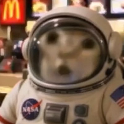 The 'Doge astronaut' meme - a Shiba Inu wearing a NASA spacesuit helmet in front of a McDonald's sign.