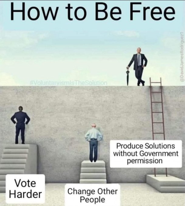 A political cartoon titled 'How to Be Free' showing three escalating steps: 'Vote Harder', 'Change Other People', and 'Produce Solutions without Government permission', with a businessman at the top of a ladder under the hashtag #VoluntarismIsTheSolution.