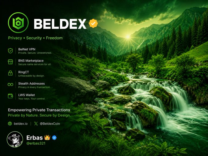 A BELDEX promotional graphic featuring its privacy-focused ecosystem—BelNet VPN, BNS Marketplace, RingCT, Stealth Addresses, and LWS Wallet—set against a lush green mountain waterfall backdrop, aligning with the post's emphasis on BeldexCoin's practical privacy tools like BChat, BNS, and BelNet.
