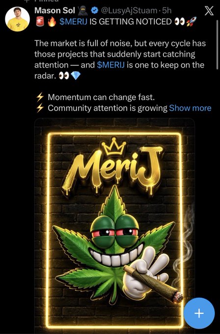 An X post from @LusyAjStuam mentions '$MERIJ IS GETTING NOTICED' and features an image of a cartoon marijuana leaf character smoking a joint, with 'MeriJ' written in gold graffiti-style text.