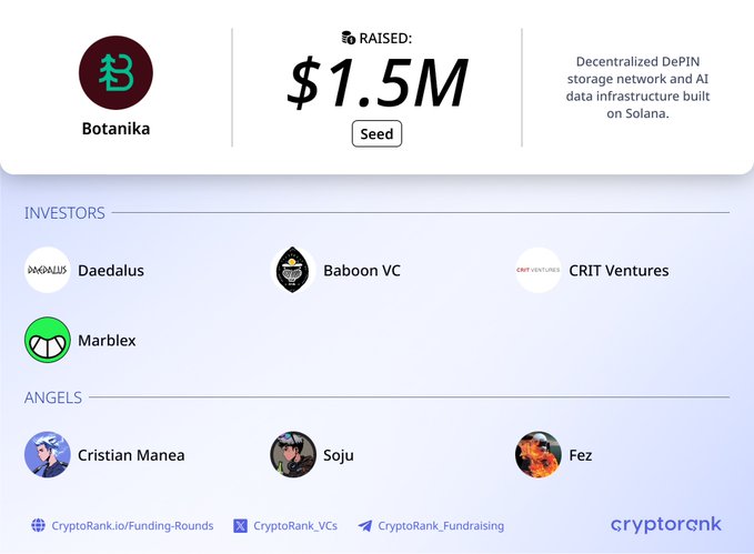 The image is a CryptoRank funding announcement showing Botanika raised $1.5M in a Seed round, backed by investors Daedalus, Baboon VC, CRIT Ventures, and Marblex, with angel investors Cristian Manea, Soju, and Fez. It describes Botanika as a decentralized DePIN storage network and AI data infrastructure built on Solana, matching the accompanying post details.