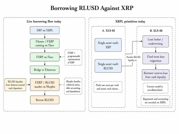 A flowchart diagram titled 'Borrowing RLUSD Against XRP' that illustrates the live borrowing flow today involving XRP on XRPL, FXRP minting on Flare, bridging to Ethereum, and Morpho market mechanics, alongside XRPL primitives XLS-65 and XLS-66.