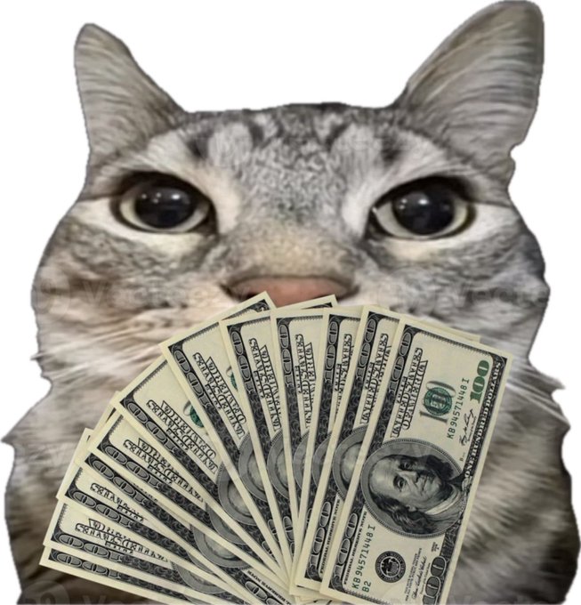The image features a cat holding up a stack of US dollar bills, with its eyes focused on them. The caption below the photo reads "When your idle $USDT finally starts earning...". This phrase suggests that the money held by the cat could be used as soon as it is needed or when there is an urgent need for funds.