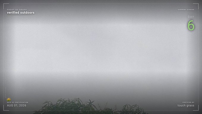 A minimalist landscape photograph framed by a textured border, displaying 'PROOF OF GRASS: verified outdoors', 'CURRENT STREAK DAY 6', 'DATE OF CERTIFICATION AUG 01, 2026', and 'CERTIFIED BY touch grass' overlaid on a foggy field with grass at the bottom.