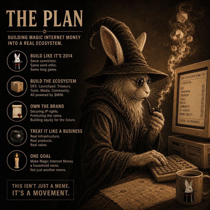 A stylized promotional graphic titled 'THE PLAN - BUILDING MAGIC INTERNET MONEY INTO A REAL ECOSYSTEM' features a wizard rabbit smoking a pipe at a computer, with a checklist including DEX, Launchpad, Treasury, Tools, and Media.
