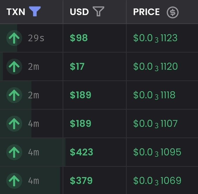 A dark-themed table showing transaction data with columns for "TXN" (time ago), "USD" ($98, $17, $189, $423, $379), and "PRICE" with values formatted like $0.0₃1123, indicating very small decimal prices.