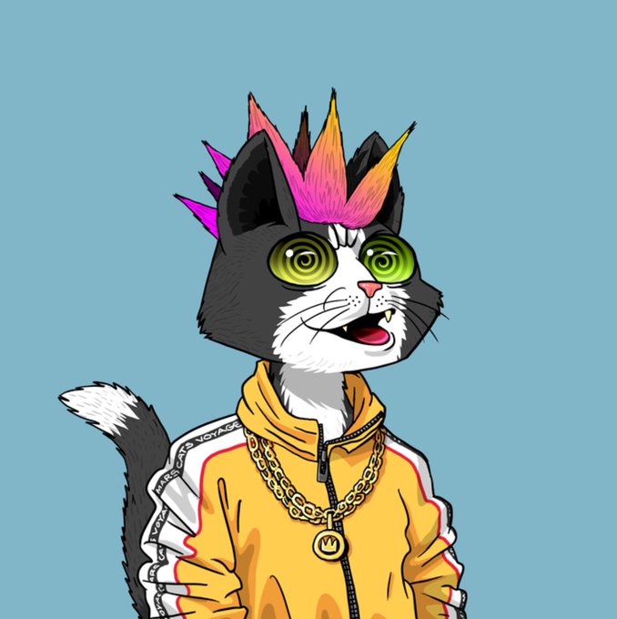 A cartoon cat with a black and white face, spiked pink and yellow hair, and a gold chain wears a yellow Versace tracksuit jacket.