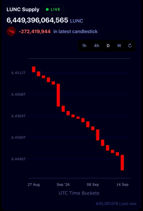 A cryptocurrency candlestick chart for LUNC Supply showing 6,449,396,064,565 LUNC with a decrease of -272,419,944, displayed in red from August 27 to September 14.