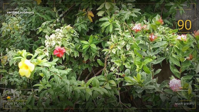 An outdoor exploration game UI overlay titled 'verified outdoors' showing Day 90, Stamina 70%, Finish 1%, with a lush garden scene containing red, yellow, and pink flowers, and the objective 'touch grass' on August 21, 2026.