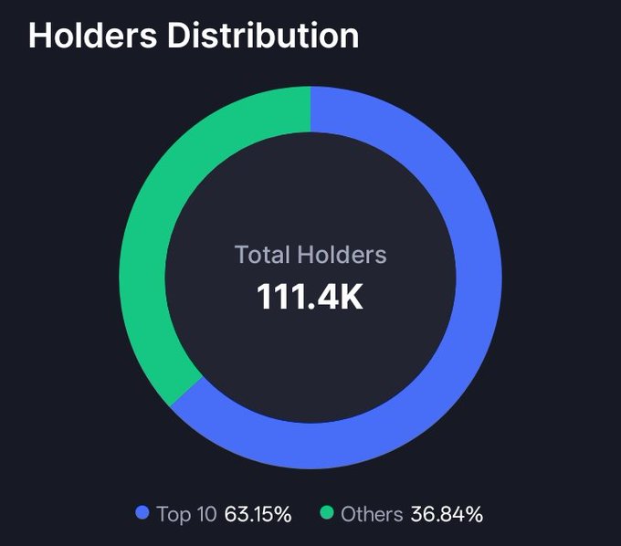 A donut chart titled "Holders Distribution" shows 111.4K total holders, split between "Top 10" at 63.15% (blue) and "Others" at 36.84% (green), visually representing the concentration of $ANSEM token ownership referenced in the post.
