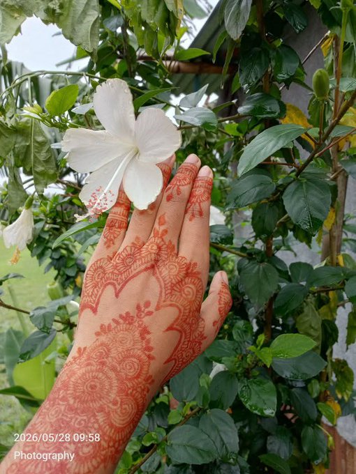 The image features a person's hand with red henna tattoos, holding a white flower. The background includes green leaves and a building. The caption of the image reads "Good morning @wallchain $30K creator campaign is now live. Opportunities favor those who move early. Did you get in yet?".
