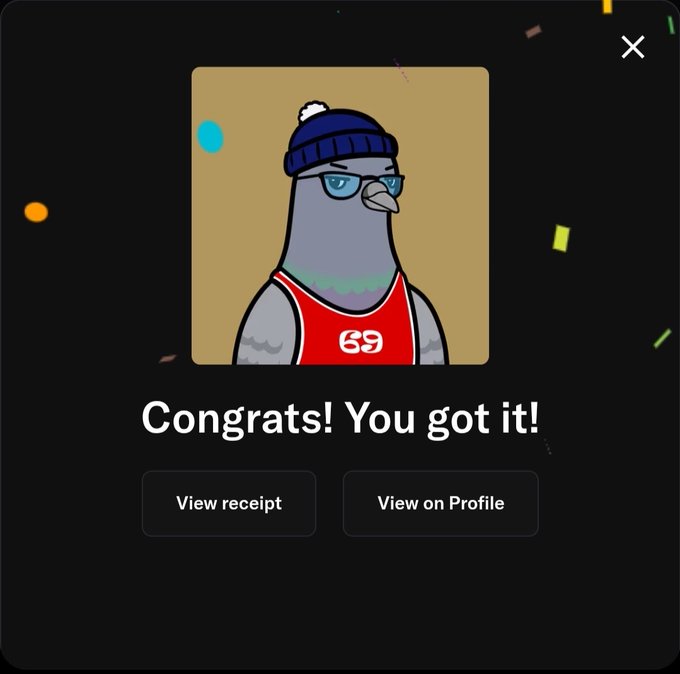 A digital interface celebrating a successful transaction with 'Congrats! You got it!' text, showing a cartoon pigeon wearing a red '69' jersey, blue beanie, and sunglasses, with buttons for 'View receipt' and 'View on Profile'.