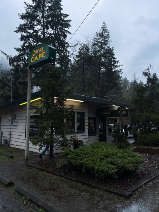 A small wood-sided corner café with a green 'Carver CAFE' sign, surrounded by tall evergreen trees on an overcast, misty day.