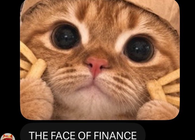 A close-up of an orange tabby cat with big eyes holding what appear to be french fries, captioned 'THE FACE OF FINANCE'.